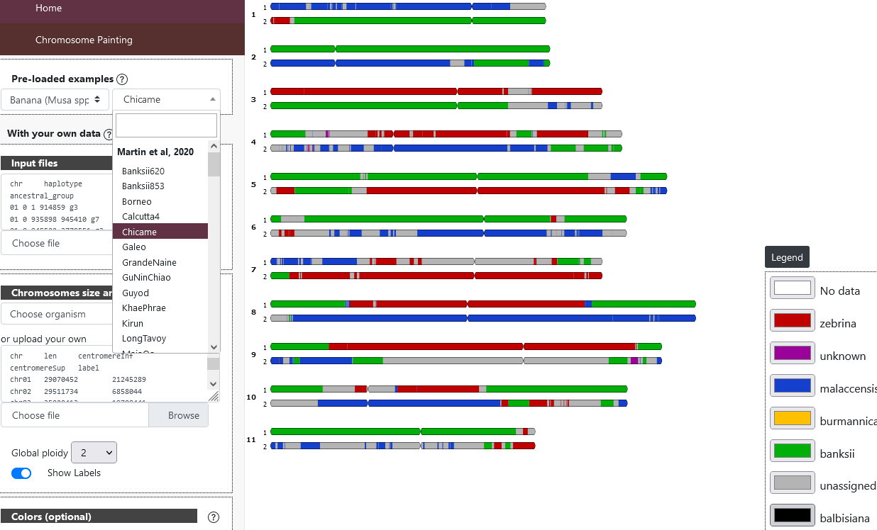 Genome ancestry mosaics example